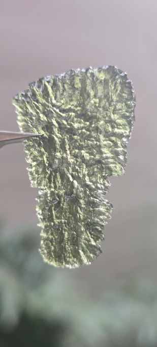 Moldavita auténtica en bruto de gran formato | Pieza única