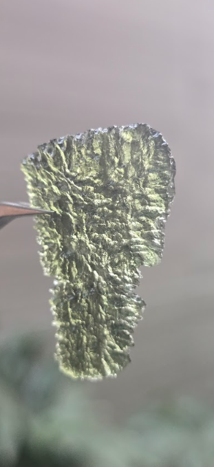 Moldavita auténtica en bruto de gran formato | Pieza única